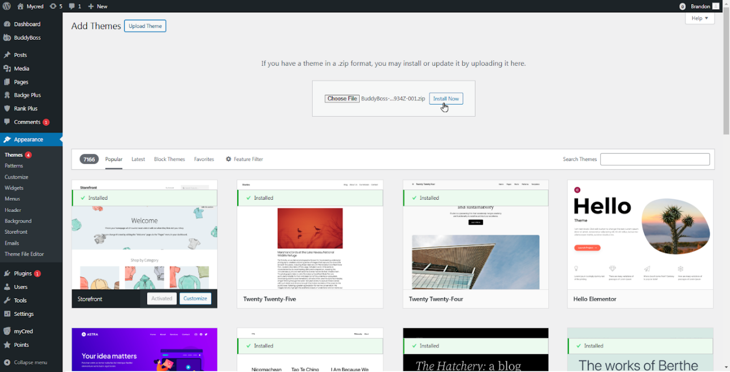 Appearance → Themes.