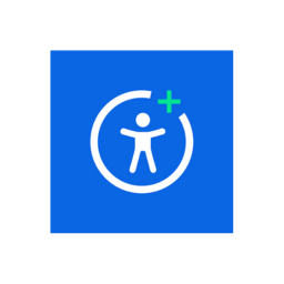 WordPress Accessibility Plugin