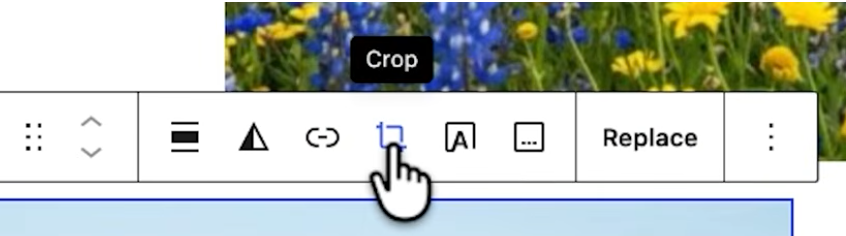 The new image editor modal in WordPress 7.1 new features
courtesy WPRoads